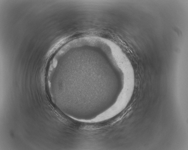 X0000115450341200912161519