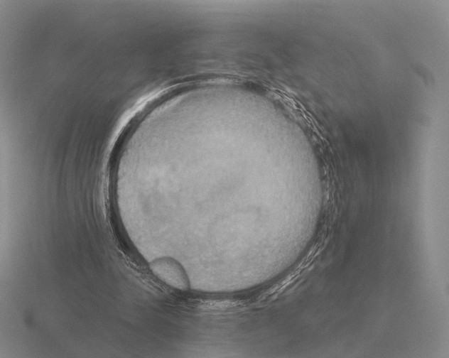 X0000115450342200912161519