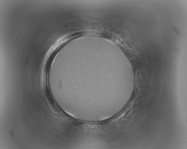 X0000115450343200912161519