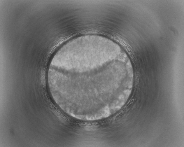 X0000115450345200912161519