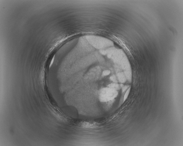 X0000115450346200912161519