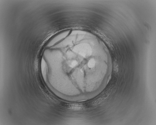 X0000115450347200912161519