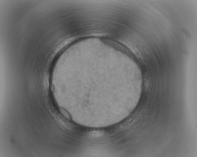 X0000115450350200912161519