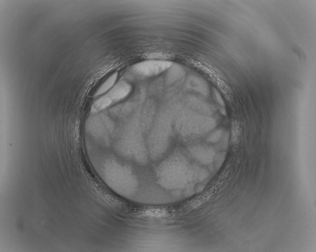 X0000115450353200912161519