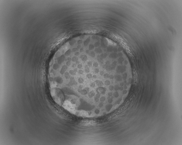 X0000115450354200912161519