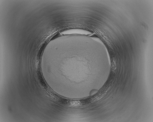 X0000115450355200912161519