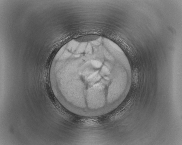 X0000115450359200912161519