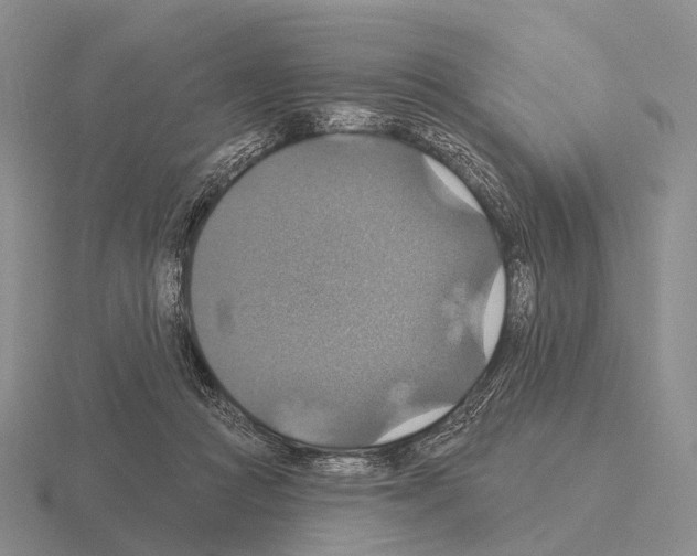 X0000115450361200912161519