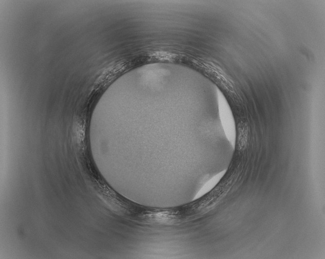 X0000115450365200912161519