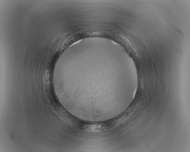 X0000115450366200912161519