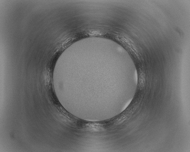 X0000115450367200912161519