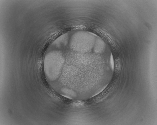 X0000115450369200912161519