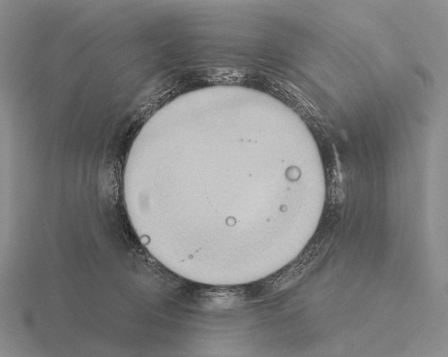 X0000115450370200912161519