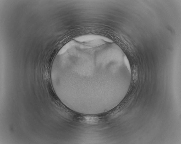 X0000115450371200912161519