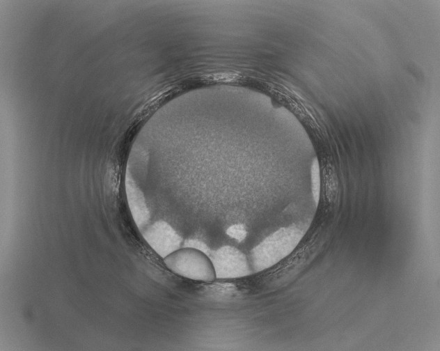 X0000115450374200912161519