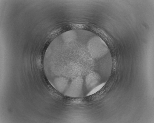 X0000115450377200912161519