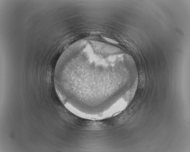 X0000115450379200912161519