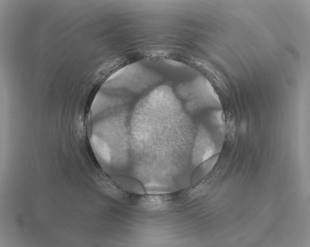 X0000115450381200912161519