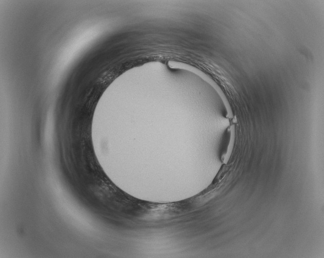 X0000115450382200912161519