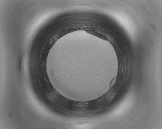 X0000115450383200912161519