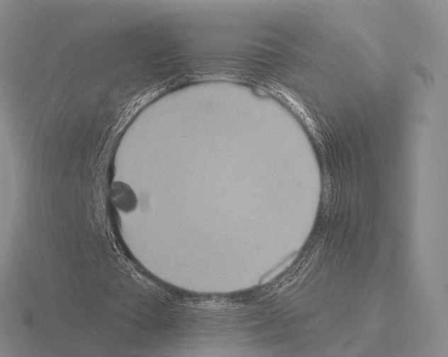 X0000115450385200912161519