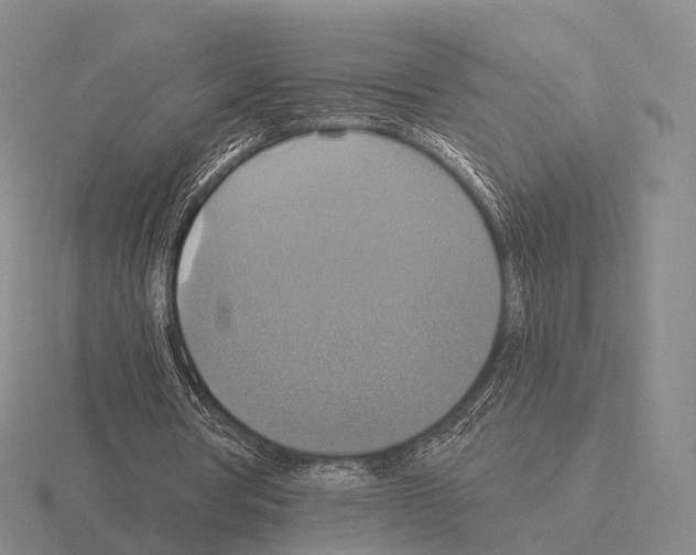 X0000115450386200912161519