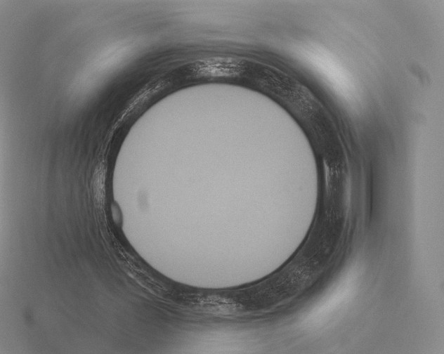 X0000115450387200912161519