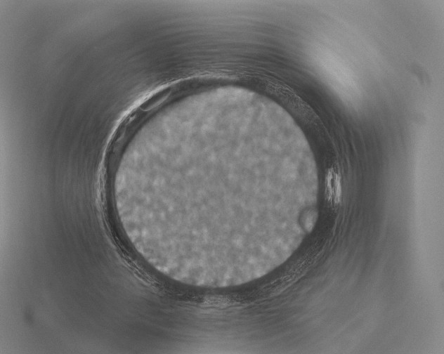 X0000115450388200912161519