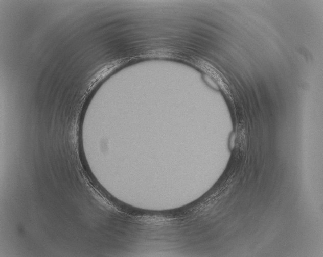 X0000115450389200912161518