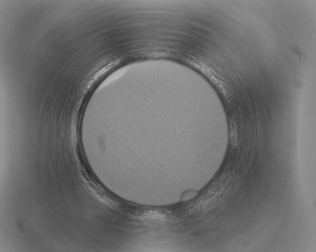 X0000115450390200912161518