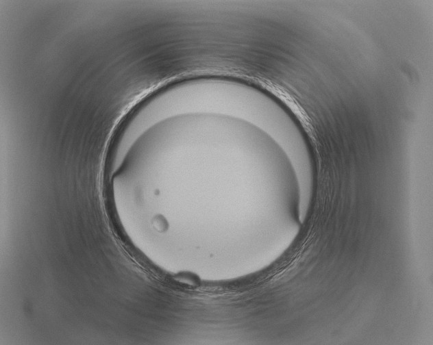 X0000115450391200912161518