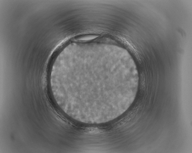 X0000115450392200912161518