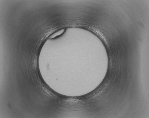 X0000115450393200912161518