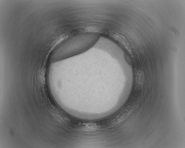 X0000115450395200912161518