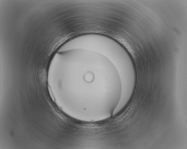 X0000115450397200912161518