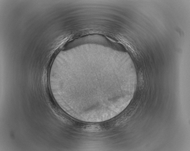 X0000115450398200912161518