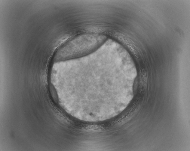 X0000115450399200912161518