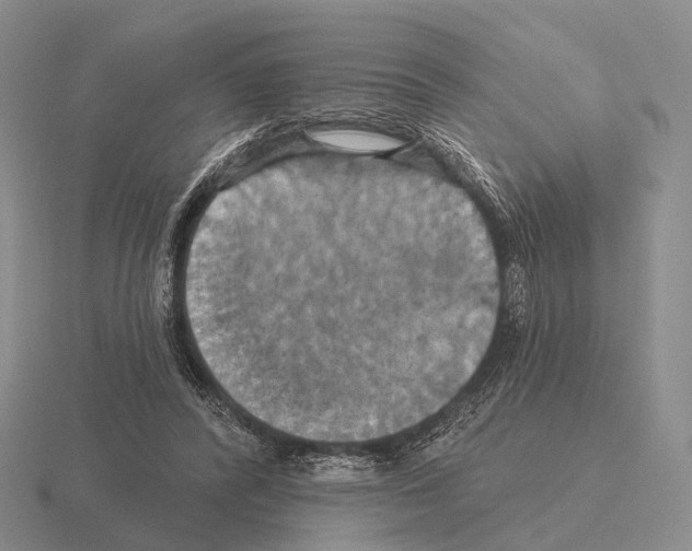 X0000115450400200912161518