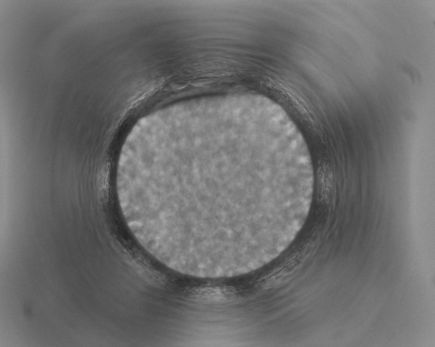 X0000115450404200912161518