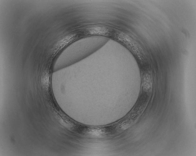 X0000115450405200912161518