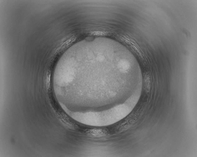 X0000115450406200912161518