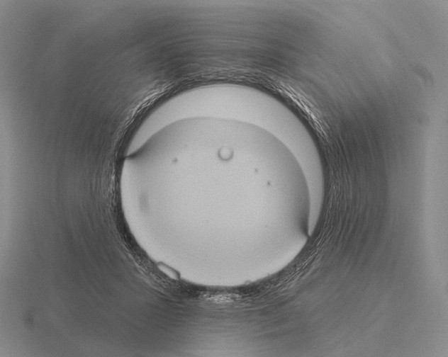 X0000115450407200912161518