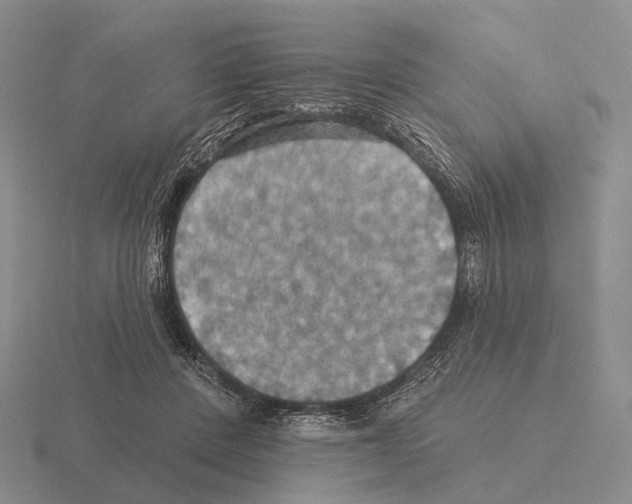 X0000115450408200912161518