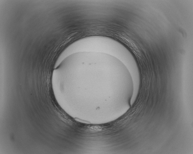 X0000115450409200912161518