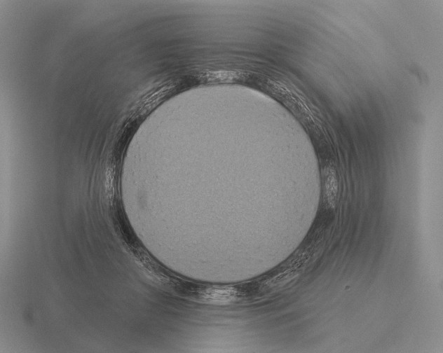 X0000115450410200912161518