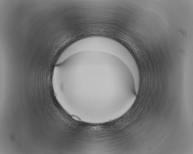 X0000115450411200912161518