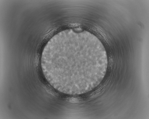 X0000115450412200912161518