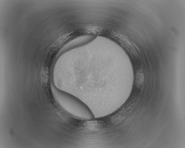 X0000115450413200912161518