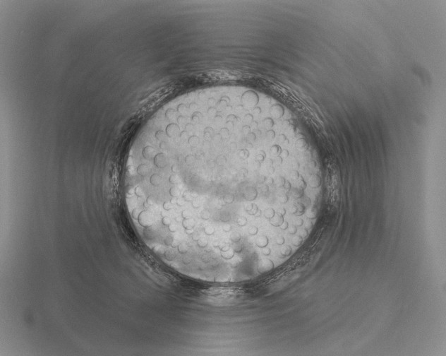 X0000115450418200912161518