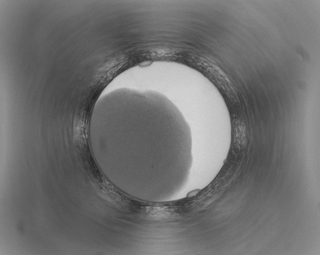 X0000115450419200912161518